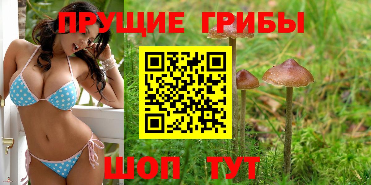 Муром  Галлюциногенные грибы Psilocybine cubensis  Галлюциногенные грибы Psilocybe  Вход с VPN 